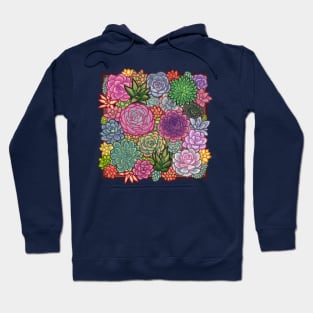 Succulent Garden 1 Hoodie